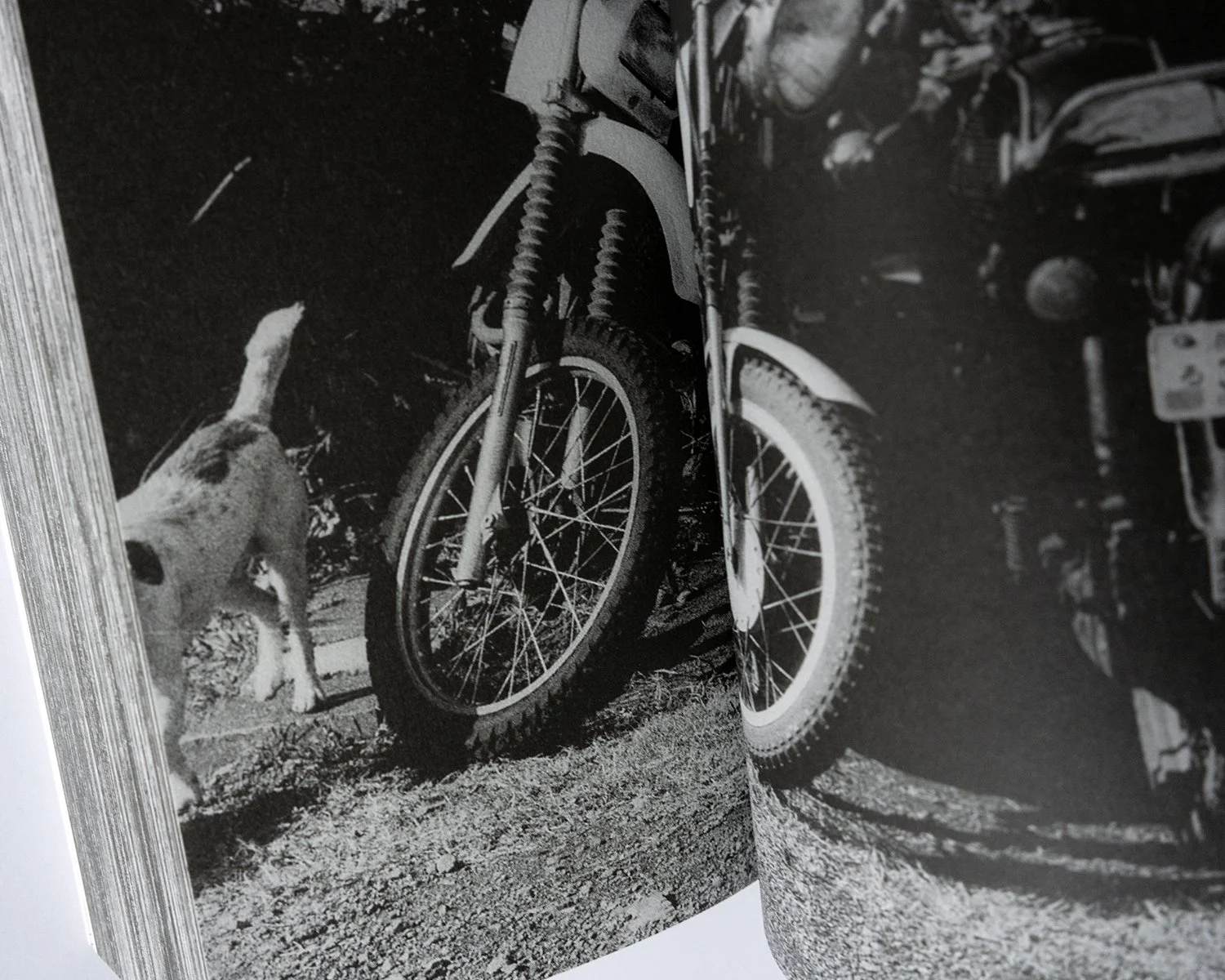 William Eggleston: A Cor Americana — bookdummypress